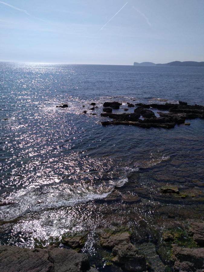 Piazza Ginnasio Affittacamere Alghero Luaran gambar